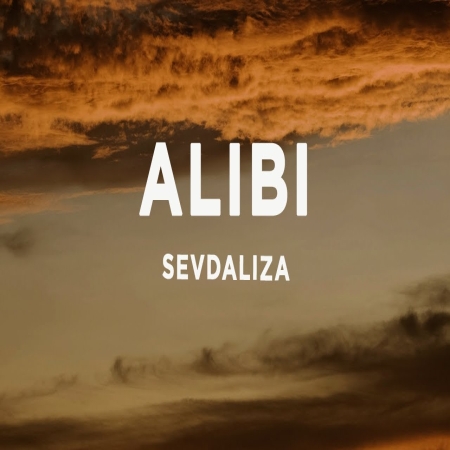 Alibi